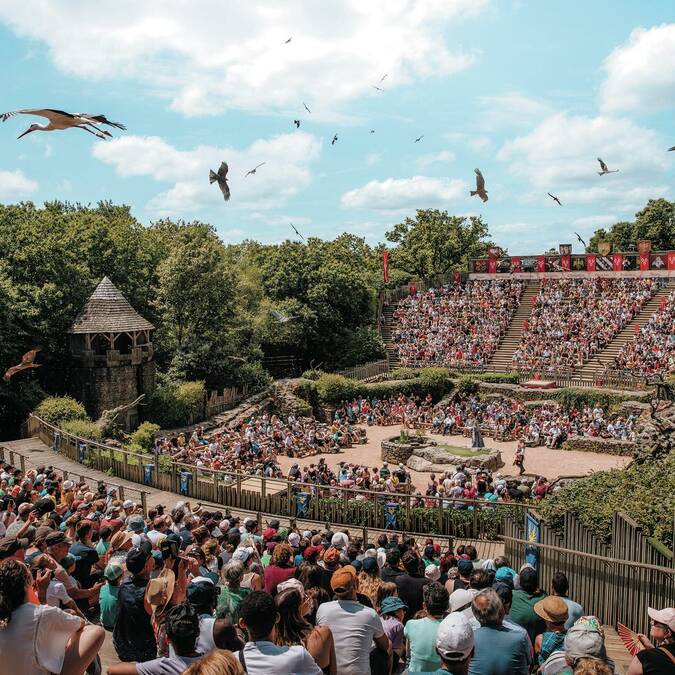 Le Bal des Oiseaux
